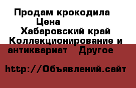 Продам крокодила › Цена ­ 3 000 - Хабаровский край Коллекционирование и антиквариат » Другое   